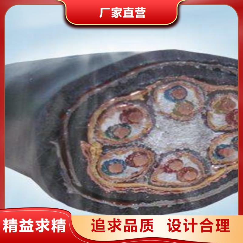 低烟无卤计算机电缆WDZ-ZR-JYPVRP定制实力厂家直销
