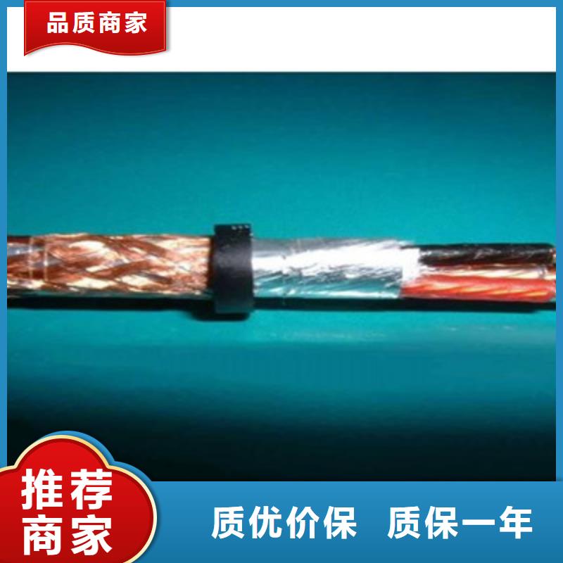 铠装计算机电缆DJYJP2VP2正规厂家本地经销商
