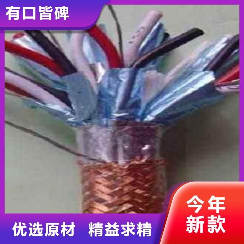 阻燃计算机电缆ZR-DJYJVP32X2X1.0本地服务商