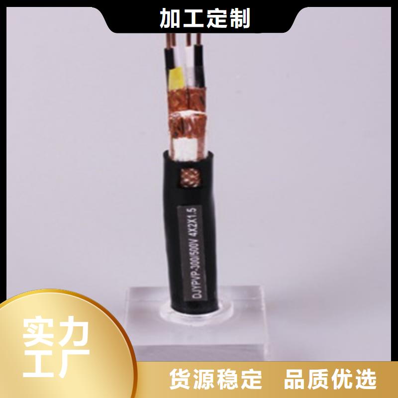 阻燃计算机电缆ZR-DJYP2VP212X2X1.0同城生产商