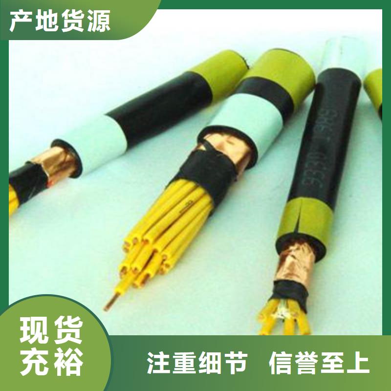 ZR-IA-KYP3VP3本安探测器连接电缆24X1.0欢迎来电当地品牌