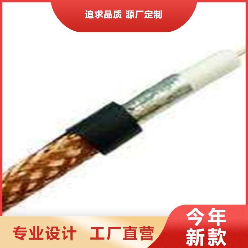 监控线SYV制作商厂家售后完善