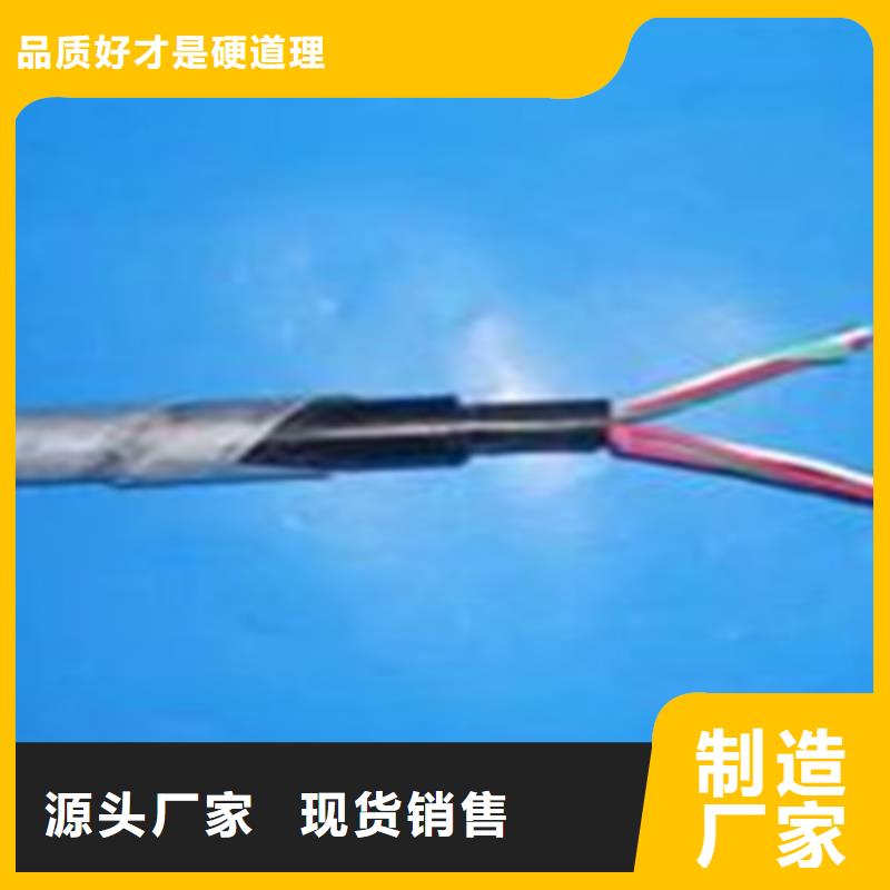 WDZ-19芯信号线缆定制价格出厂价
