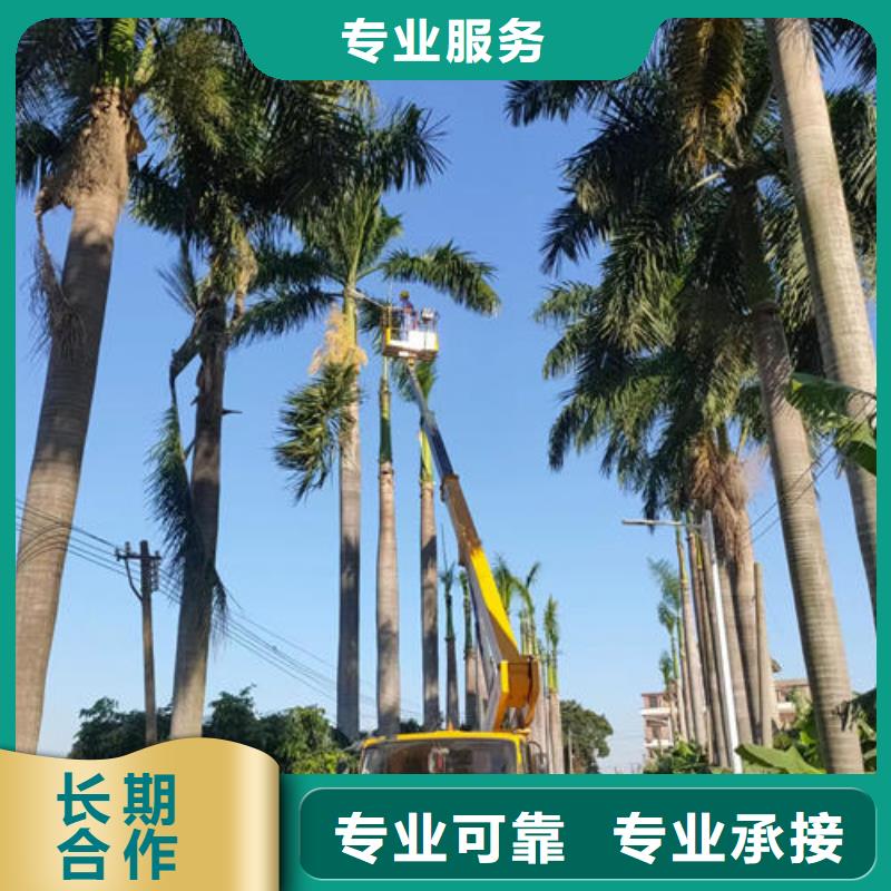 大朗镇高空平台出租多少钱专业承接