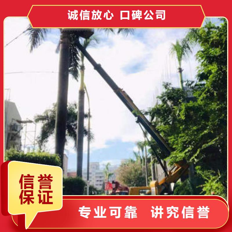 梅江升降机出租公司电话解决方案