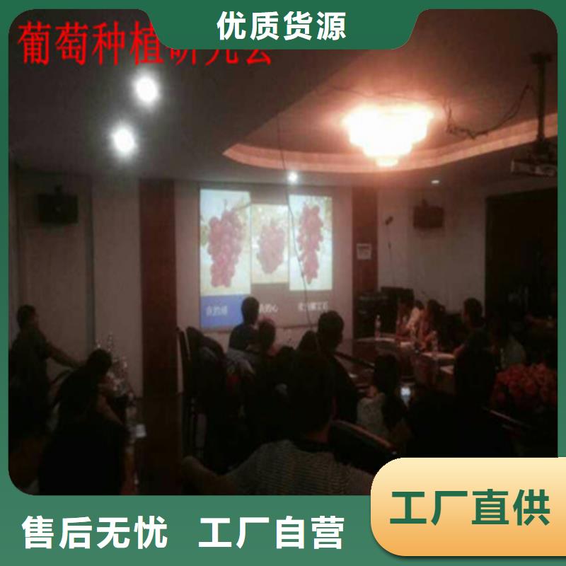 哪里有甜蜜蓝宝石葡萄苗匠心制造