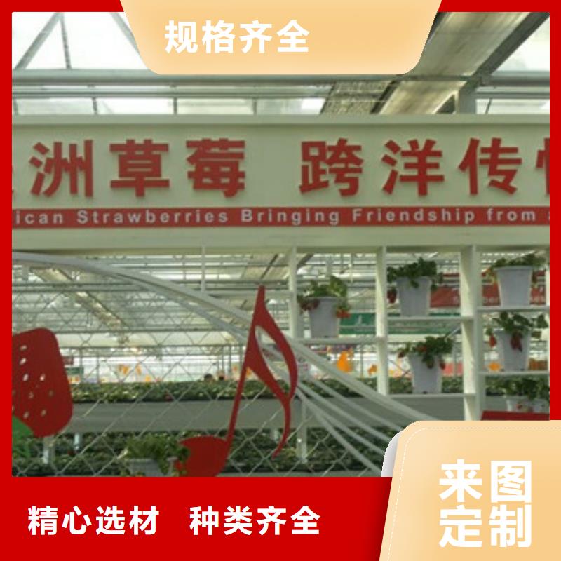 一年生脱毒草莓苗，脱毒草莓苗基地批发同城生产商