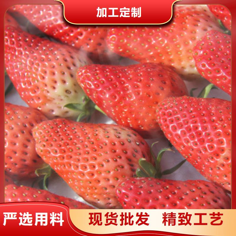 香野草莓苗哪里有同城供应商
