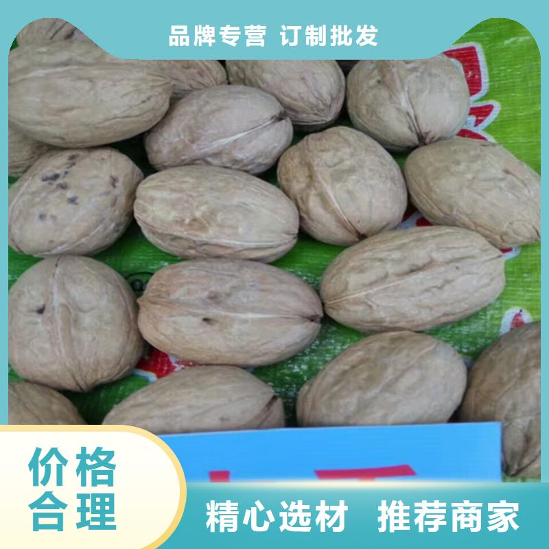 薄皮核桃苗哪里有批发的多年行业积累