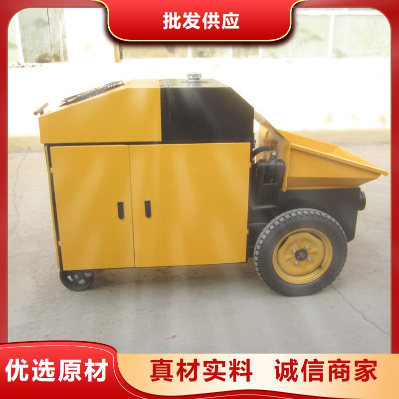 实力雄厚的二次构造柱泵上料机小型地泵生产厂家厂家现货供应