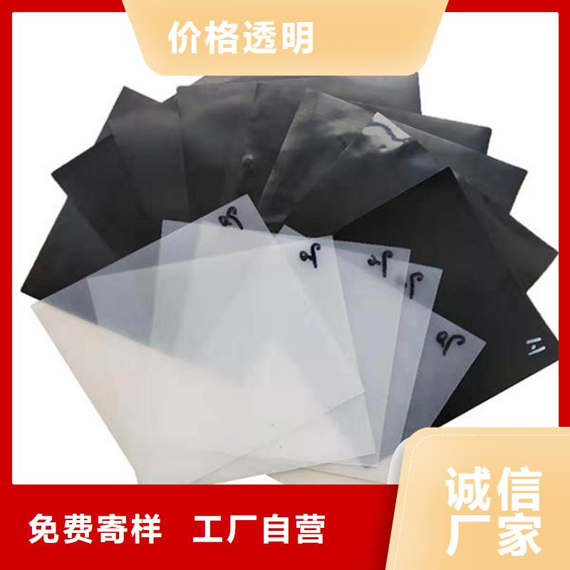 土工膜方案价格低