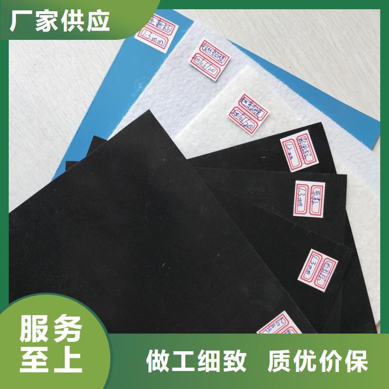 儋州市聚乙烯土工膜批发价格查询当地服务商