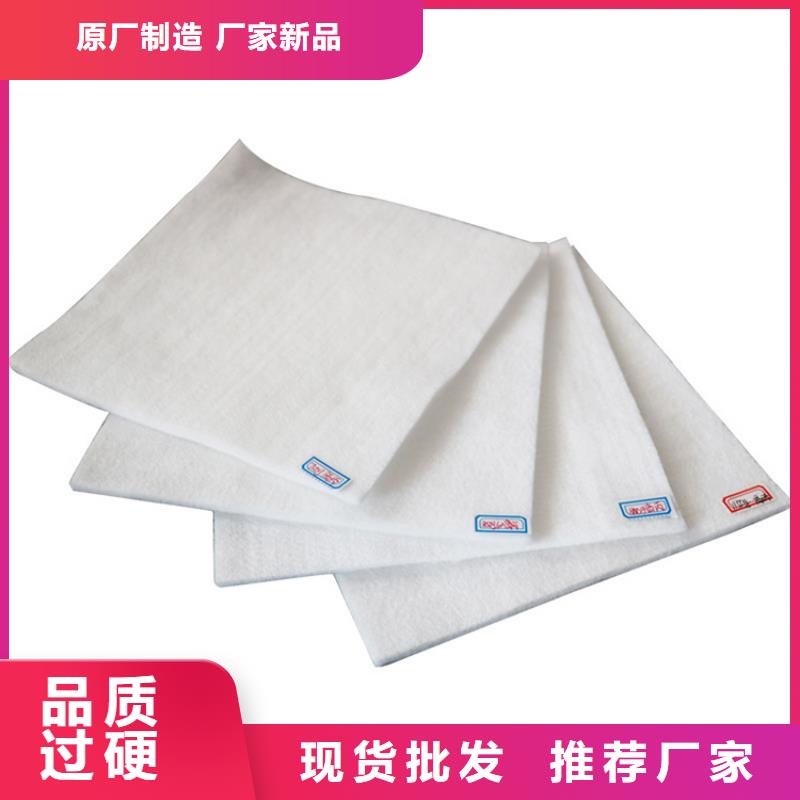 PP丙纶土工布当地供应商