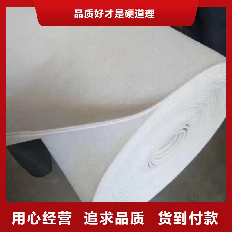 海南儋州市防渗无纺针刺土工布工厂直营