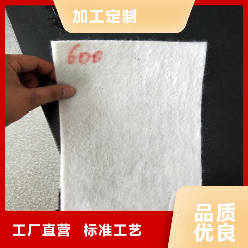 长丝防水土工布敢与同行比质量