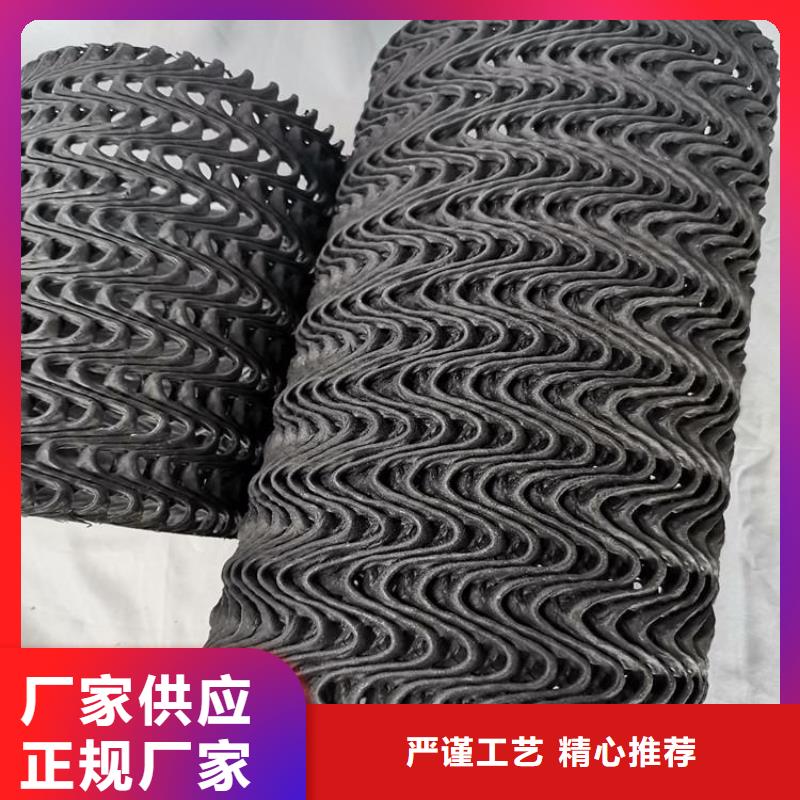 网状硬式透水管直径90300同城品牌