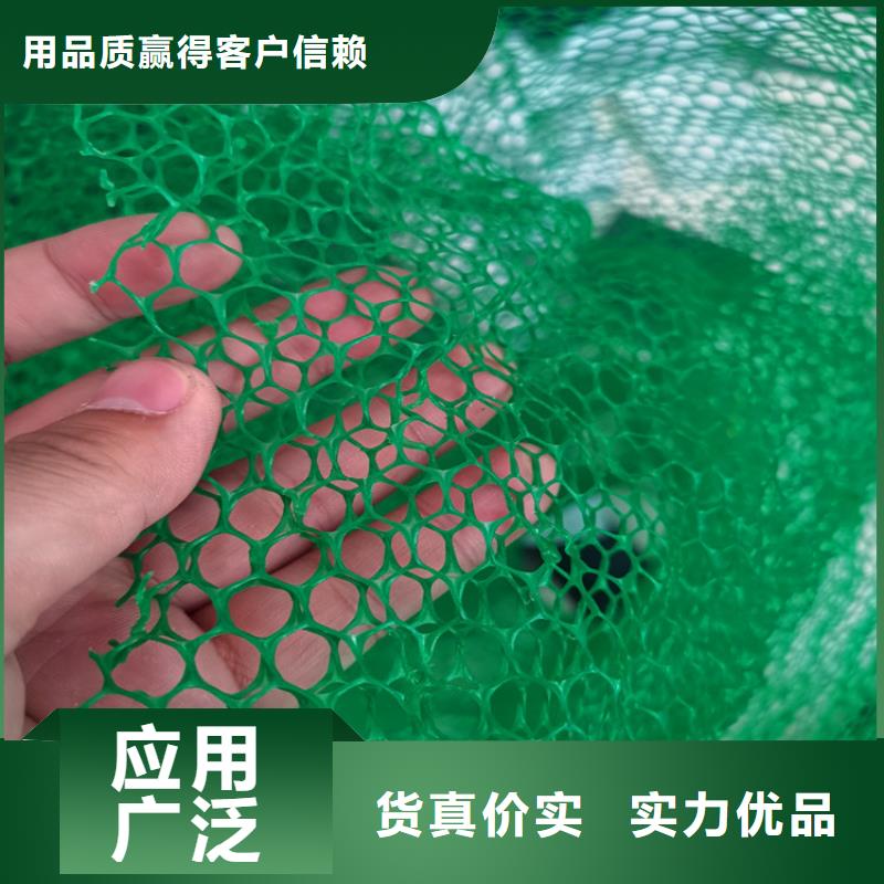 三维护坡植草网垫塑料EM2免费获取报价