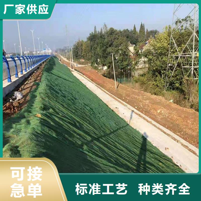 万宁市EM5三维植被网型号规格源头工厂量大优惠
