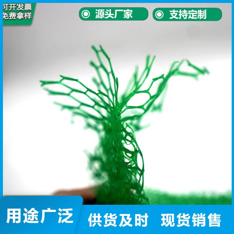草皮环保三维固土网垫当地生产厂家