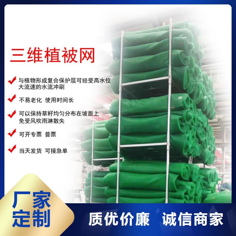 三维土工网垫施工图片专注生产N年