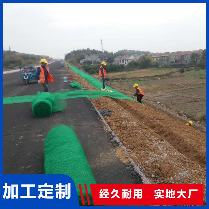 护坡植草三维土工网垫代理厂家同城品牌