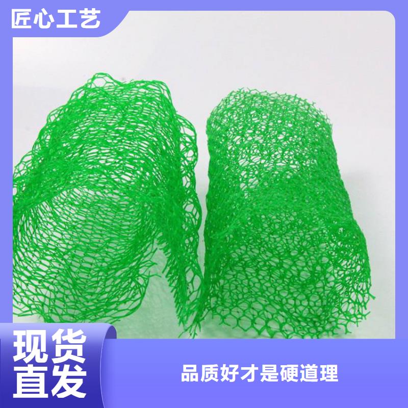 三维土工网垫塑料环保货源报价