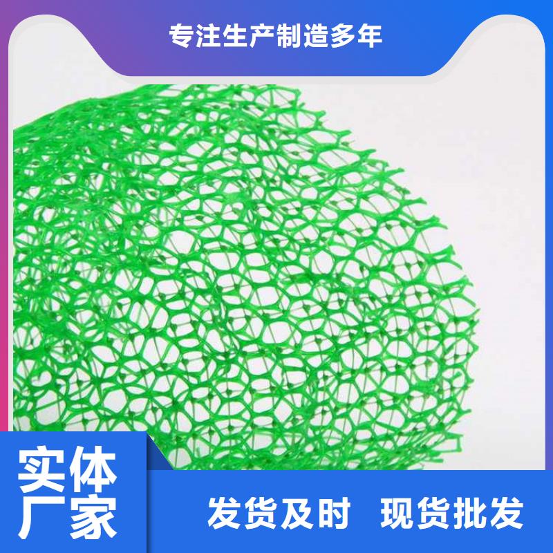 三维植被网批发价格信誉有保证