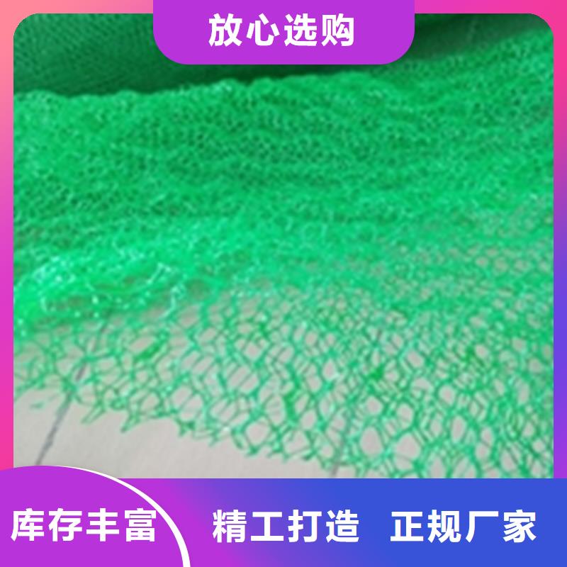 三维植被网厂家价格动态服务至上