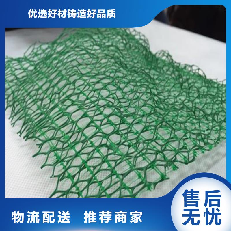 三维土工网垫源头批发价格低