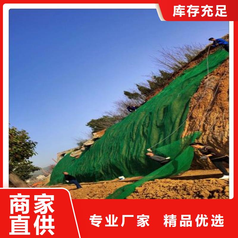 护坡植草三维植被网全国送货免费获取报价