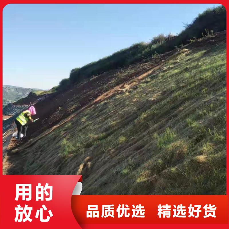 护坡植物纤维毯多种款式可随心选择