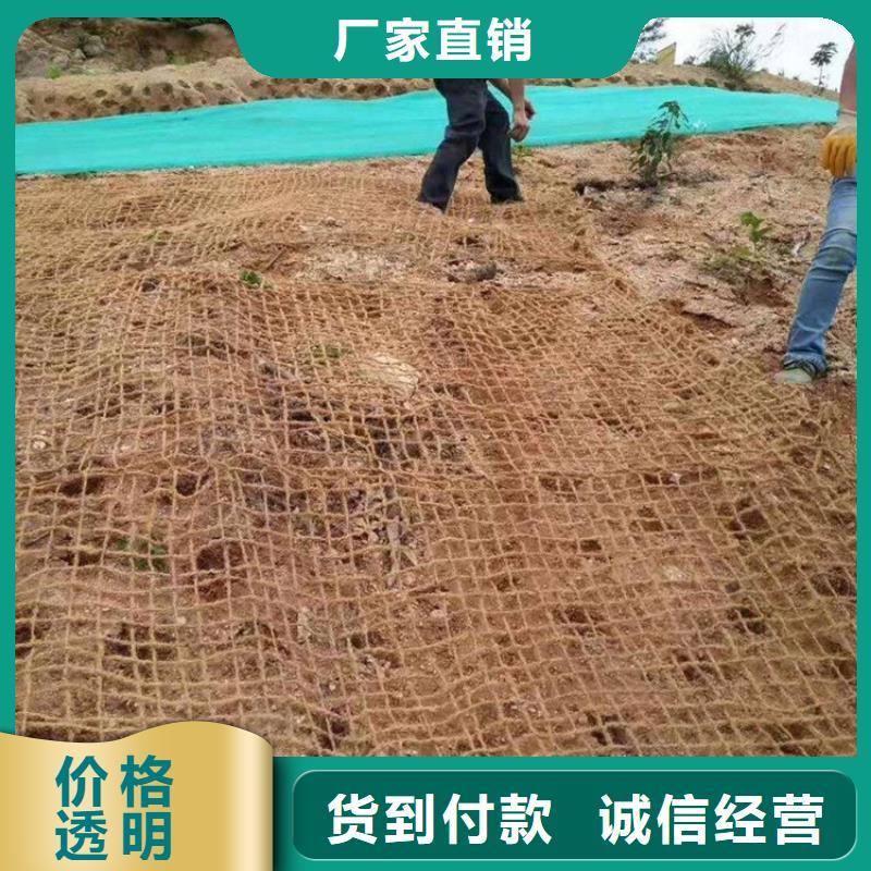 椰丝植被毯实时报价