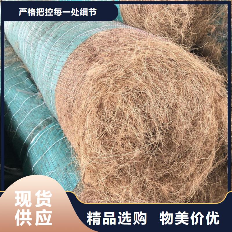 护坡植被植草毯厂家资讯本地公司