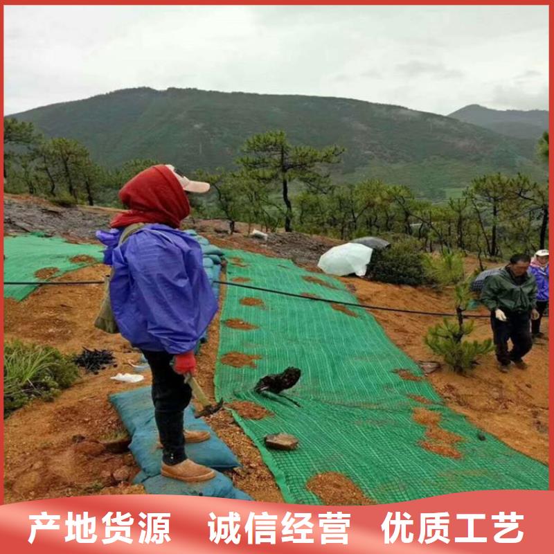 植物纤维毯工期短发货快