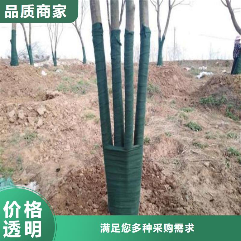 缠树布厂家供货当地品牌