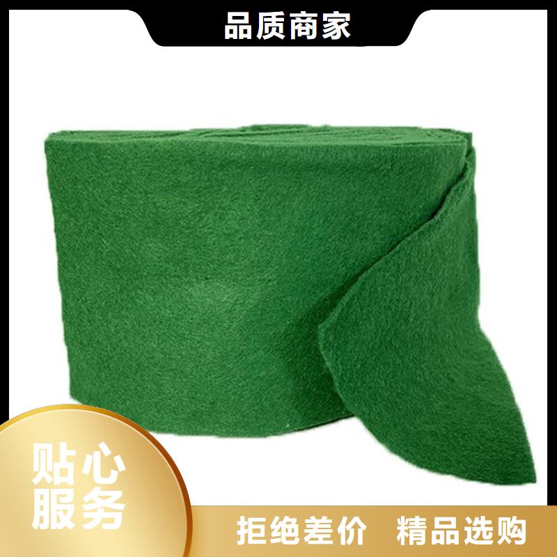 包树棉现货充裕