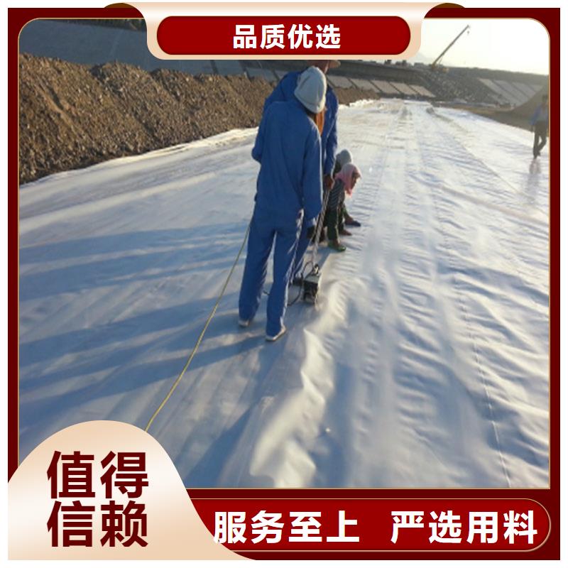 河道防渗土工膜当地生产厂家