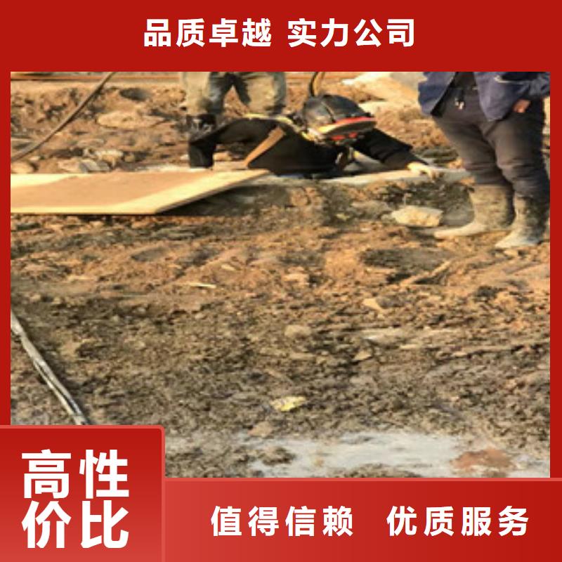 潜水员水下摄像价格走势知名公司