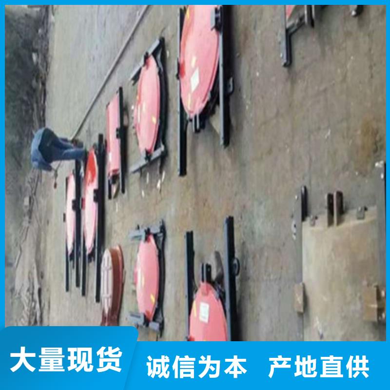 机门一体闸门-好产品放心可靠本地公司