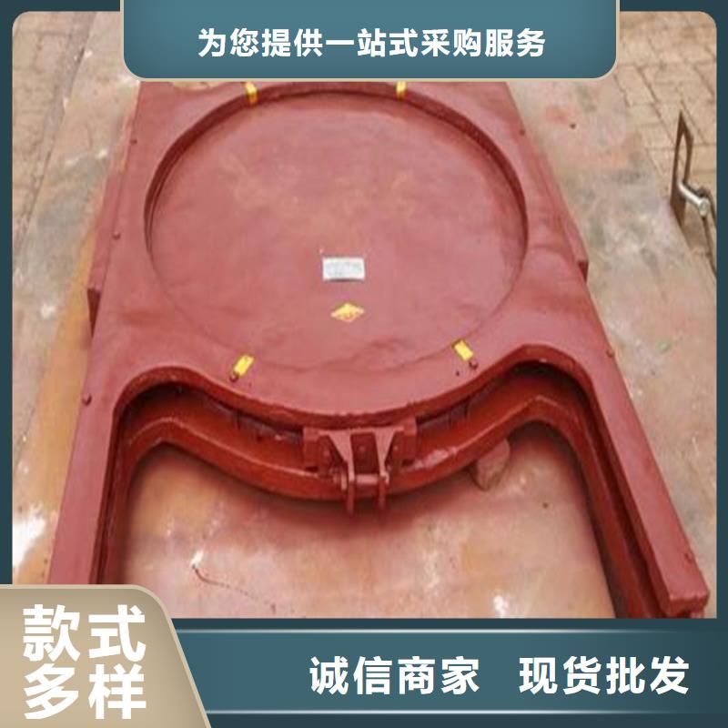 服务周到的机门一体闸门批发商当地公司