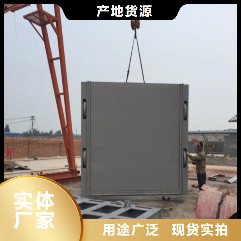 定制河道钢制闸门的厂家同城制造商