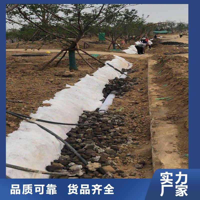 绿化排水盲管多重优惠量大从优