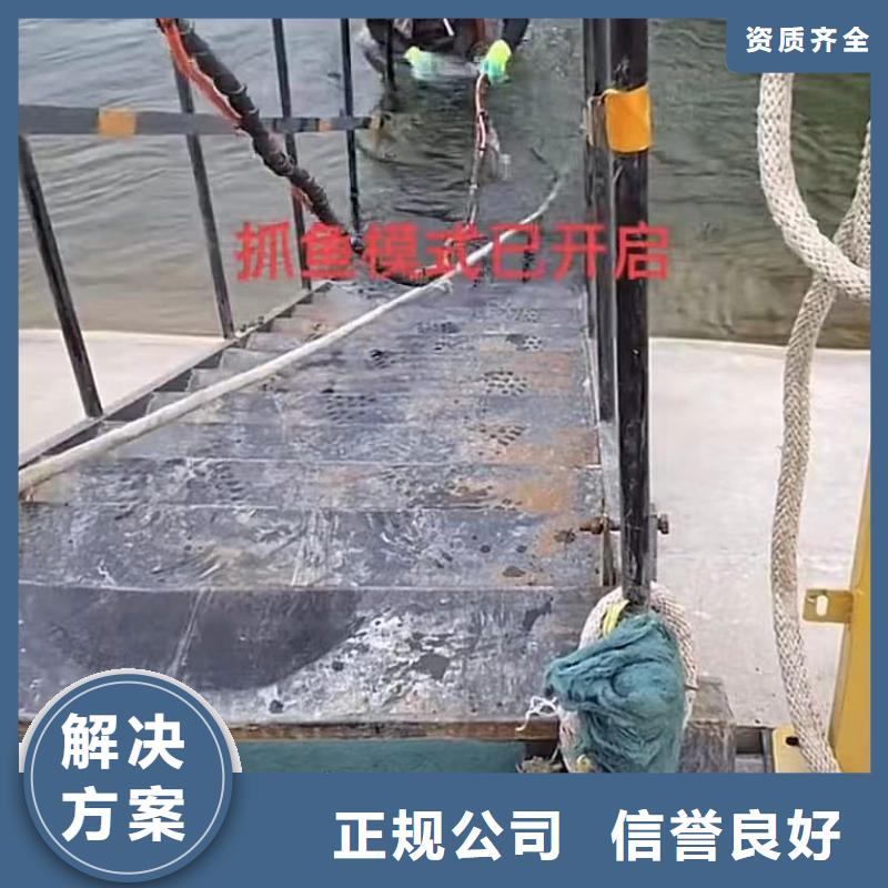 买水下封堵气囊必看-高性价比2024专业的团队