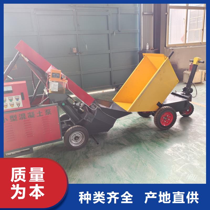 龙游微型二次构造柱泵厂家直销种类齐全