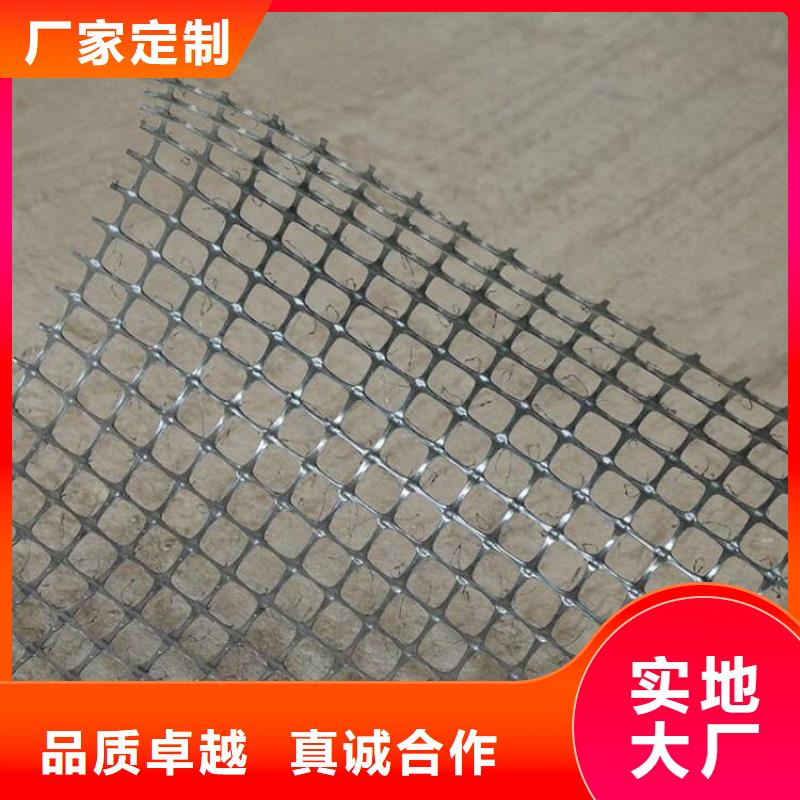 TGSG双向塑料土工格栅型号齐全当地生产厂家
