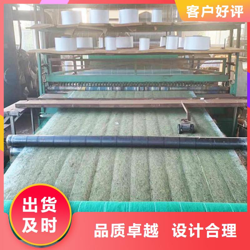 植草椰丝毯-加筋复合植草毯品质商家