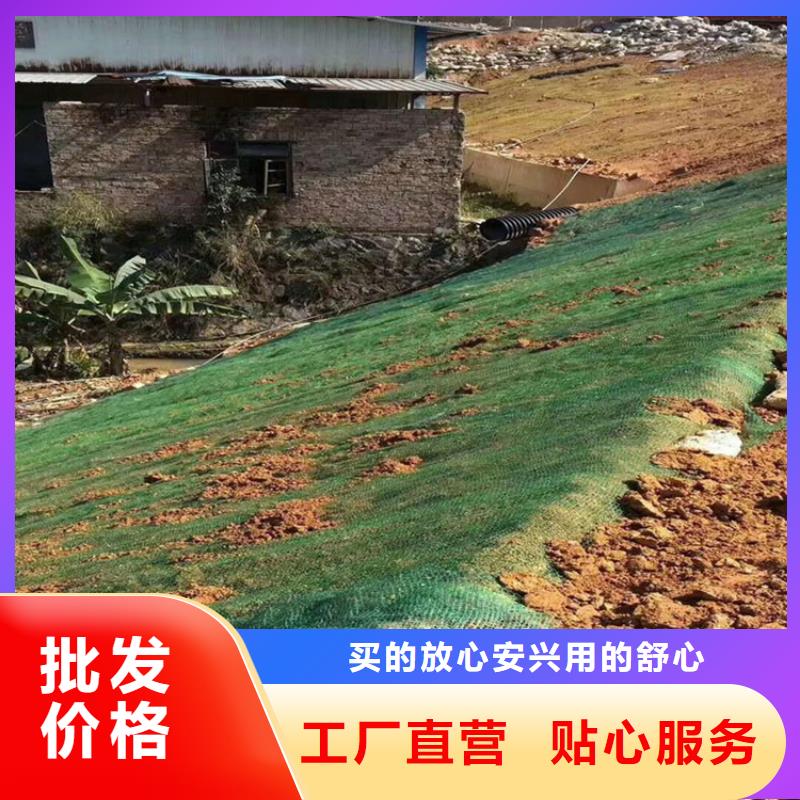 椰纤植生毯办事处专注细节更放心