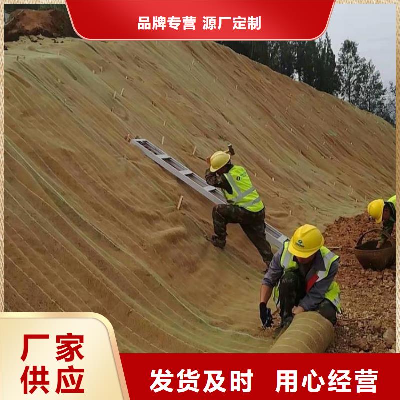 护坡植被植草毯-椰丝草毯设计制造销售服务一体