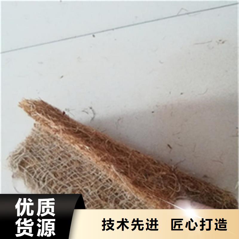 加筋抗冲生态毯护坡植被植草毯优质工艺