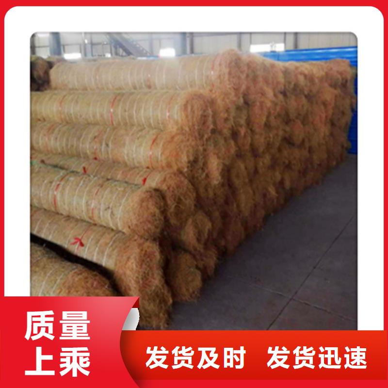 植生椰丝毯市场经销放心得选择